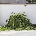 Lu Chiapparu 3* Nardò